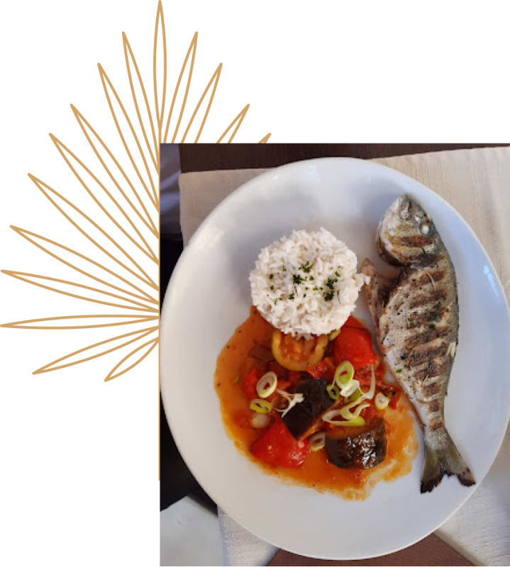 La Brasserie du Palais - Restaurant Fréjus - les meilleurs restaurant de FREJUS